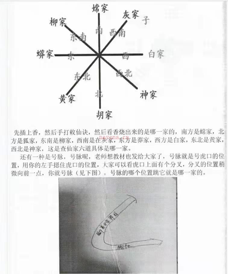 鲁东弟子仲文2020年天罡香火函授六期弟子班录音加教材图片