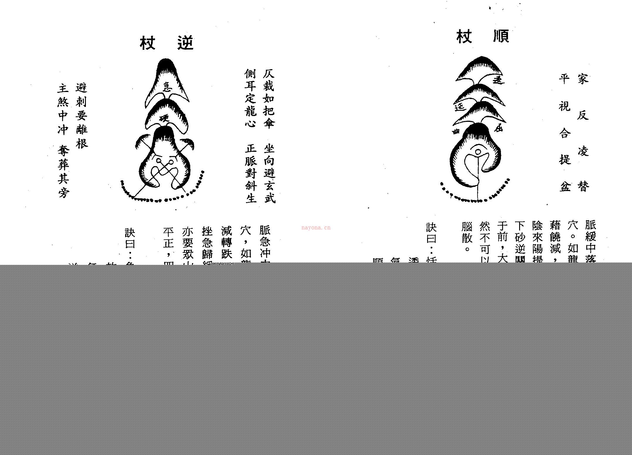 地理秘本杨公倒杖十二法