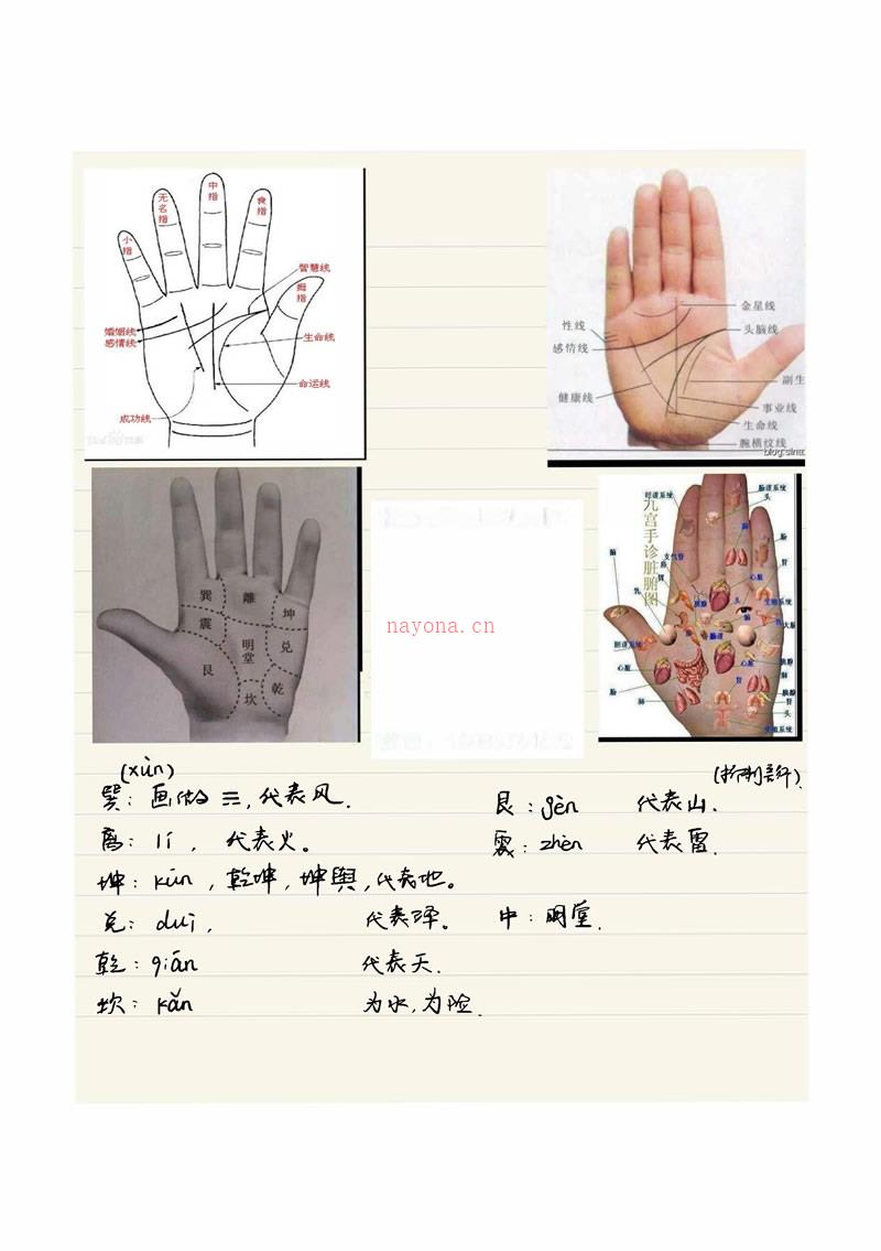 黄瑞海 手相弟子班教学案例