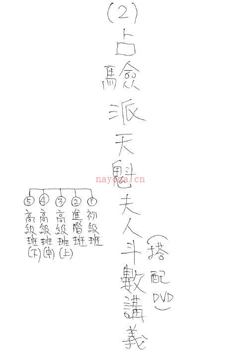 天魁夫人《占验派天魁夫人斗数讲义高阶班》339页