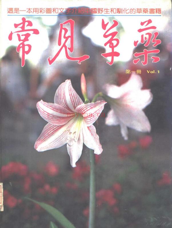 常见草药 （第一册）