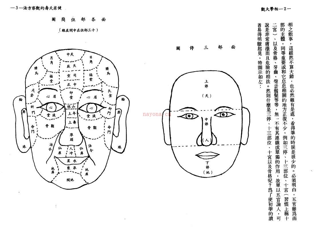 白云山人《手相 面相》189页双页版