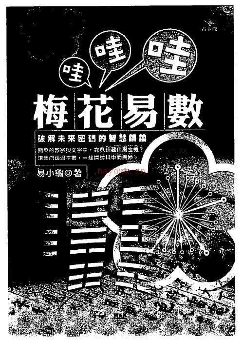 诸葛鸿(易小龟)《梅花易数哇哇哇》119页双页版