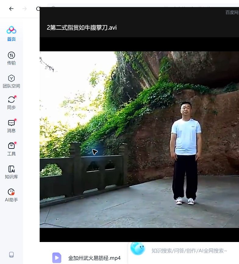 Jin Jiazhou Yi Jin Jing - Video — Posture 2Finger and Palm Method [traditional title]