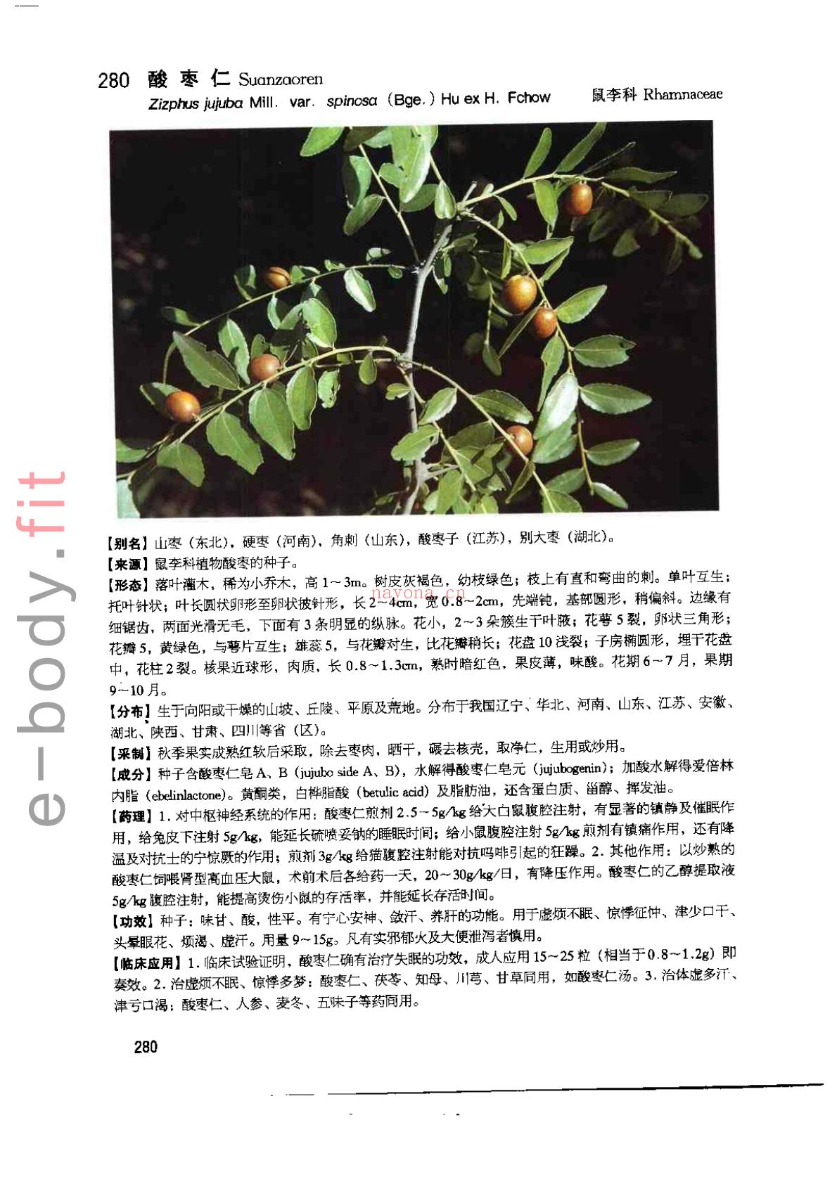 《中药植物原色图鉴》 PDF格式-电子书下载 (白皮中药植物图)