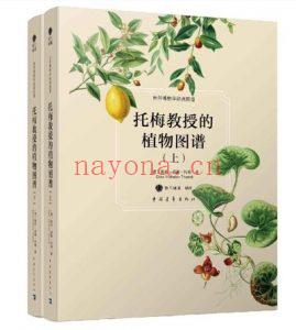 托梅教授的植物图谱 电子书epub (托梅教授的植物图谱 百度网盘)