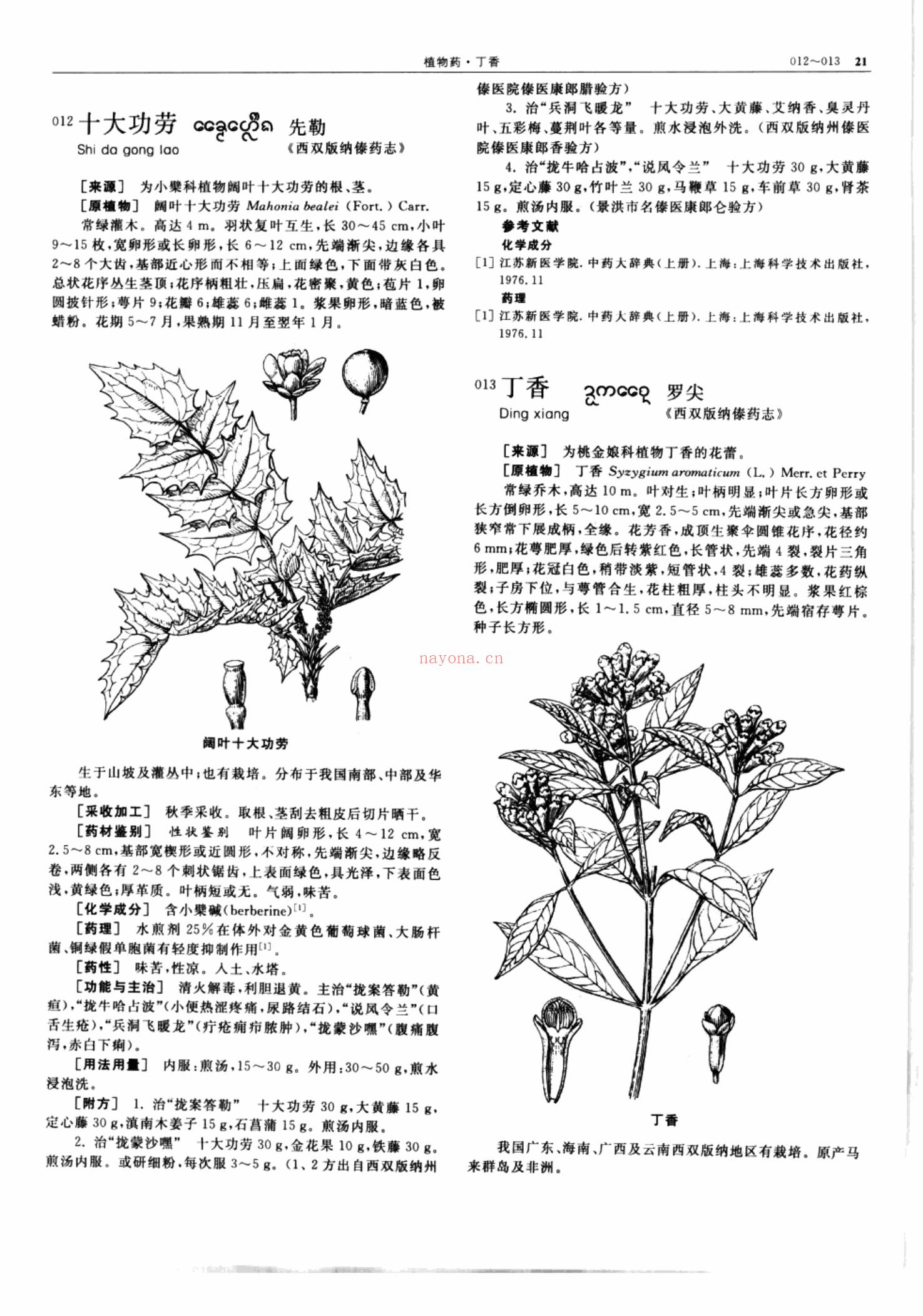 《中华本草—傣药卷（高清版）》 PDF格式-电子书下载 (中华本草载药)