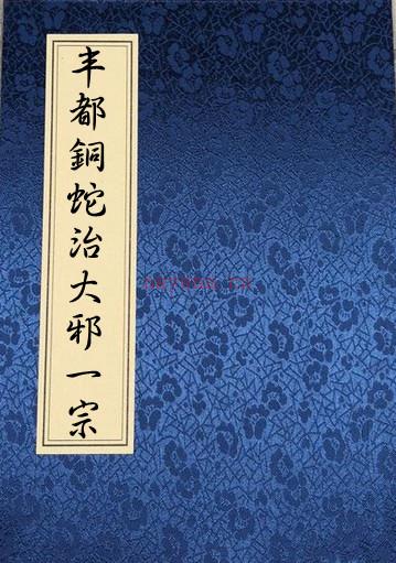 丰都铜蛇治大邪一宗.pdf 百度网盘下载百度网盘资源