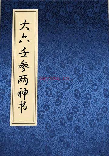 易经六壬占卜 大六壬参两神书.pdf 百度网盘下载百度网盘资源