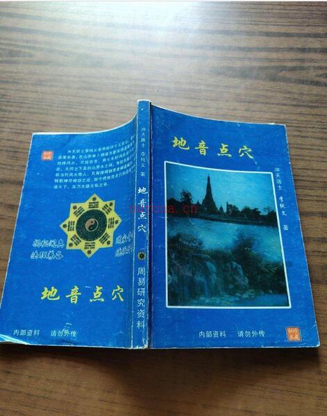 冲天居士李纯文-地音点穴.pdf 146页百度网盘资源(冲天居士李纯文书个人简历)