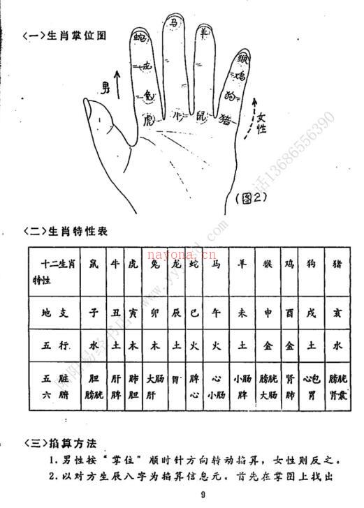 史小文-掐指报密法 （有水印）百度网盘资源(史小文-掐指报密法)