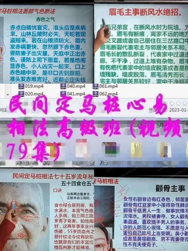 民间定马桩心易相法高级班视频79讲百度网盘资源(民间定马桩相术)