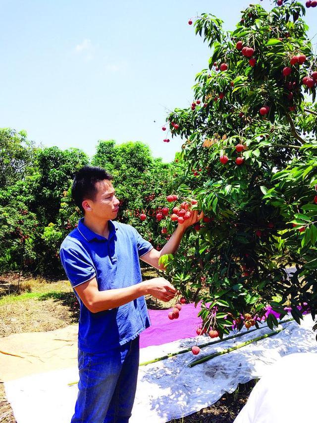 职业经理人培训课程内容？职业经理人培训课程内容有哪些！_我自学资源网-企业管理培训视频课程企业管理名师讲座培训生产管理_团队建设_市场营销(职业经理人培训课程 百度网盘)