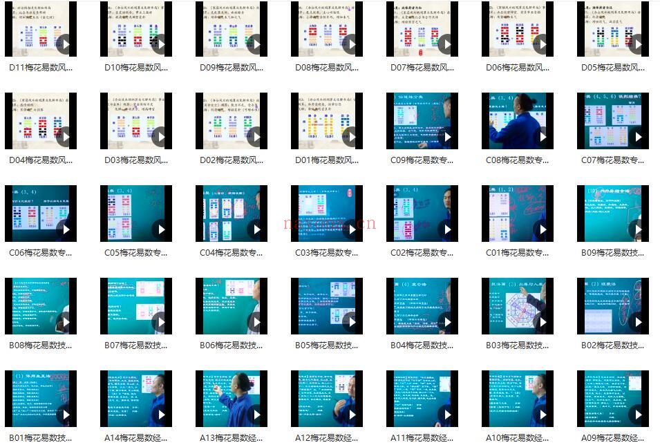 仙扑门梅花易数全集完整版（视频57集） 百度网盘