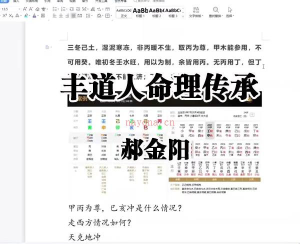 2022冬丰道人郝金阳命理传承视频15集百度网盘资源(2022年道人)