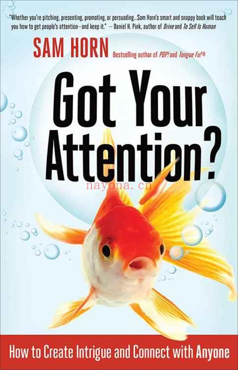 Got Your Attention? : How to Create Intrigue and Connect with Anyone