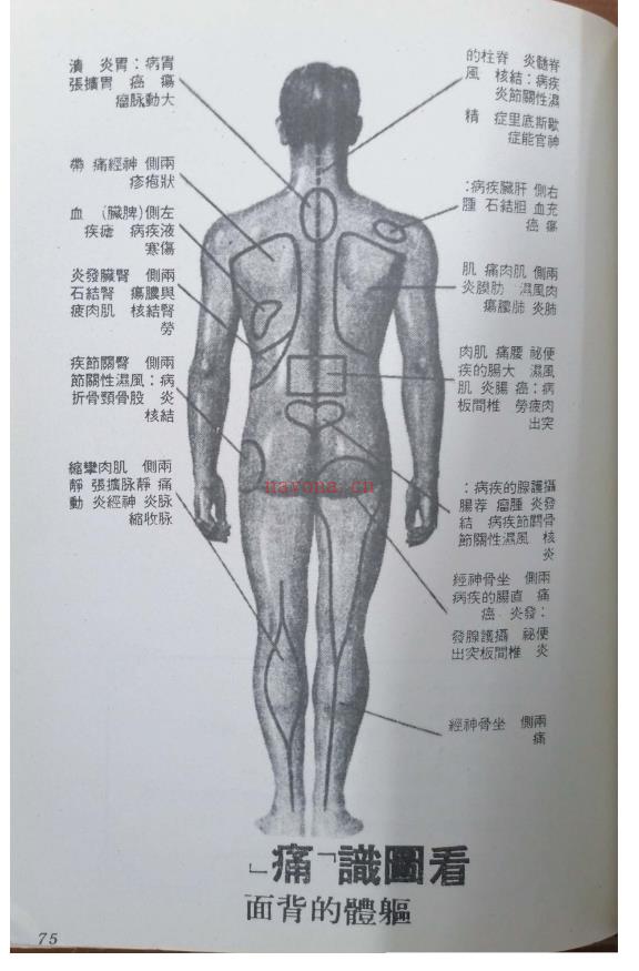 龙虎强阳绝世内功《伏虎功 》78页电子版 (龙虎强阳绝世内功刘盛义)