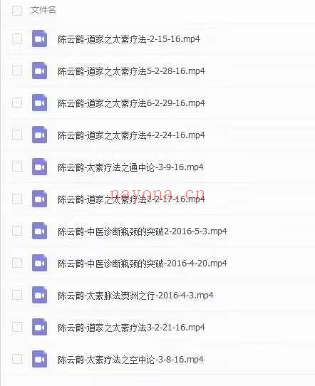 陈云鹤道家之太素疗法2016年讲课视频11集