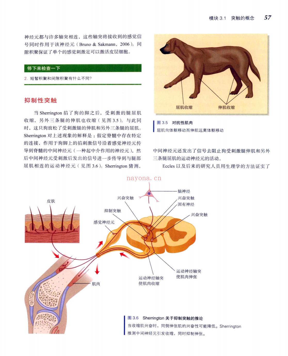 《生物心理学（第10版）》 - [美]詹姆斯·卡拉特 / James W. Kalat Biological Psychology (生物心理学漫画笔记)