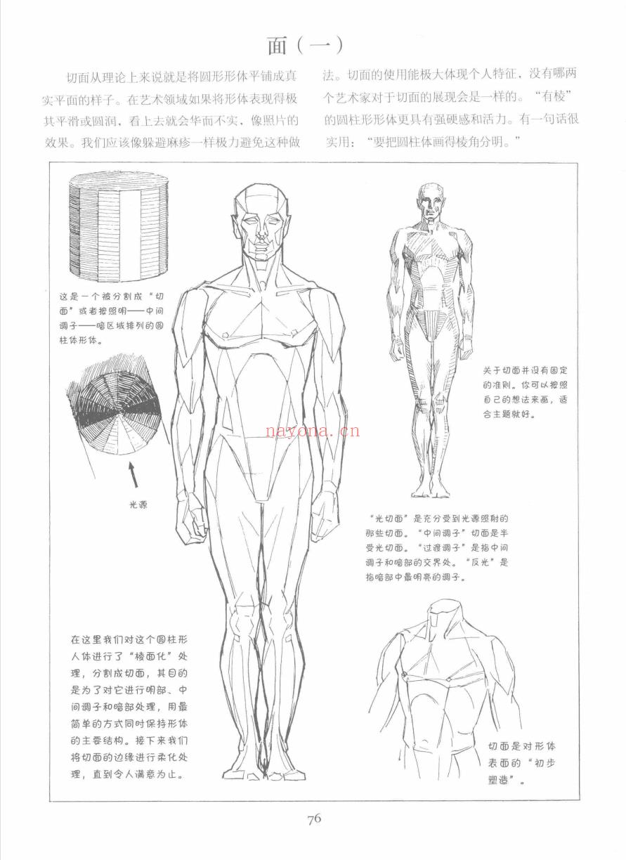 《路米斯经典美术课：人体素描》截图（点击放大）