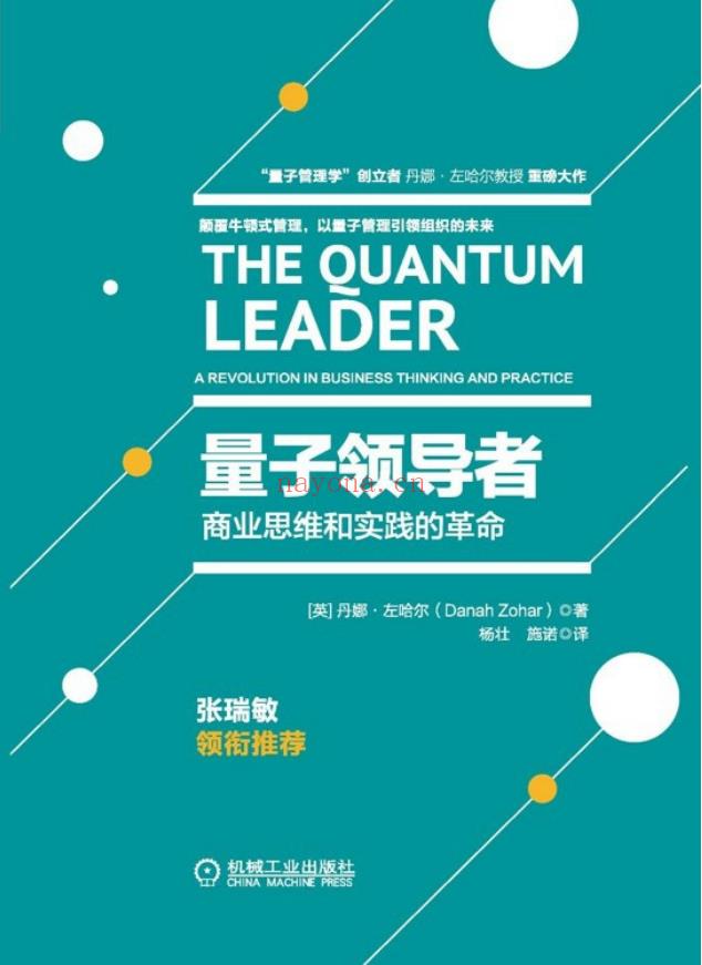 《量子领导者：商业思维和实践的革命》