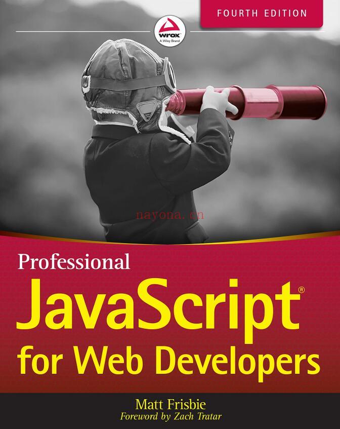 Professional JavaScript for Web Developers (4th Edition)