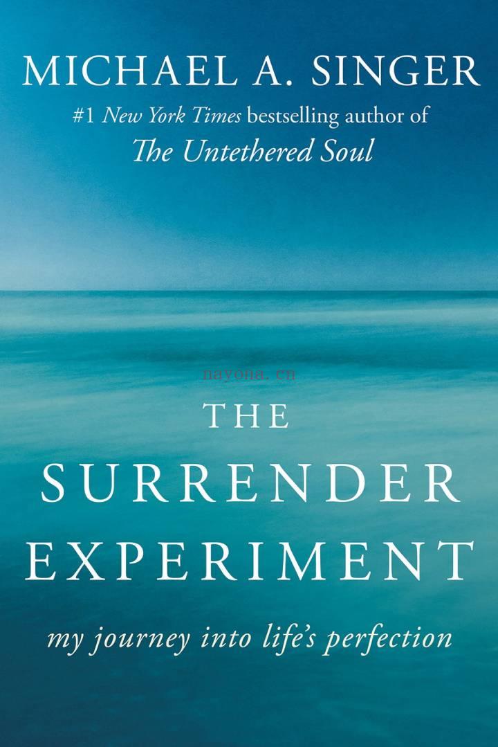 The Surrender Experiment - My Journey into Life's Perfection