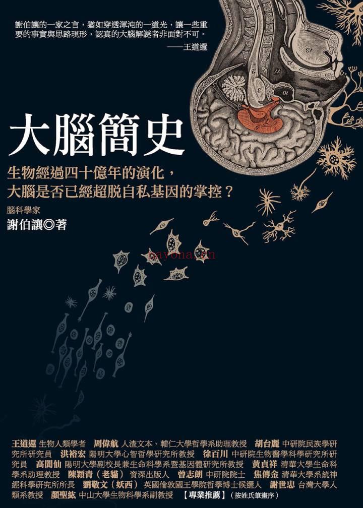 《大脑简史：生物经过四十亿年的演化，大脑是否已经超脱自私基因的掌控？》