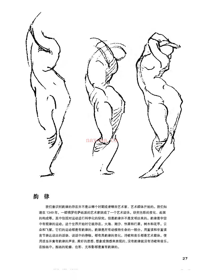 《伯里曼人体结构绘画教学》截图（点击放大）