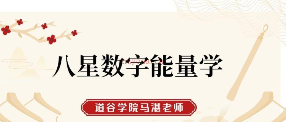 道谷学院马湛《八星数字能量学》视频62集