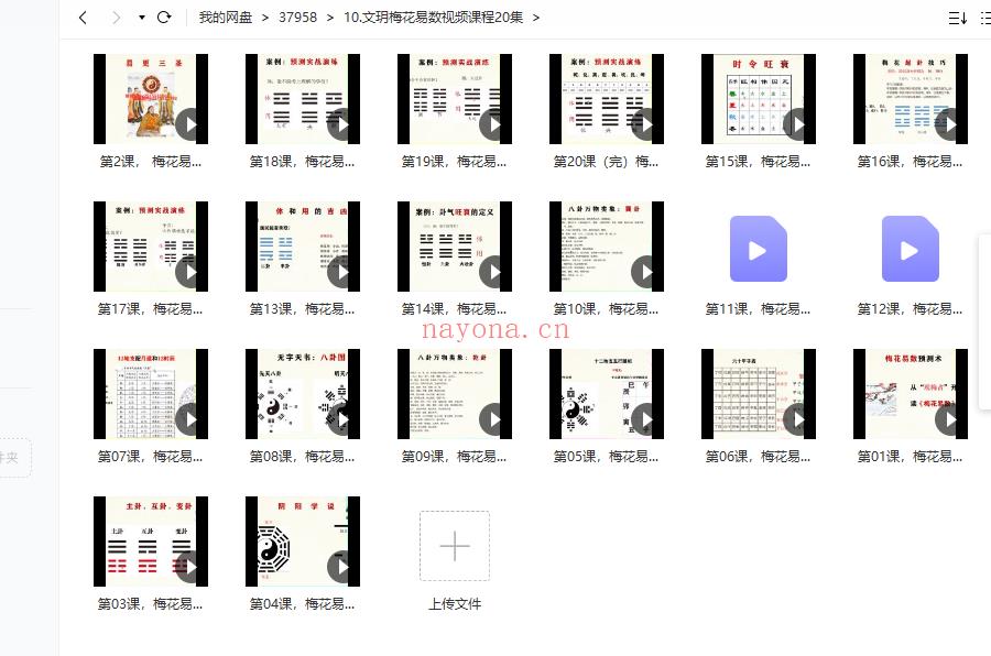 文玥梅花易数视频课程20集完整版百度云分享下载(文玥梅花易数精讲)