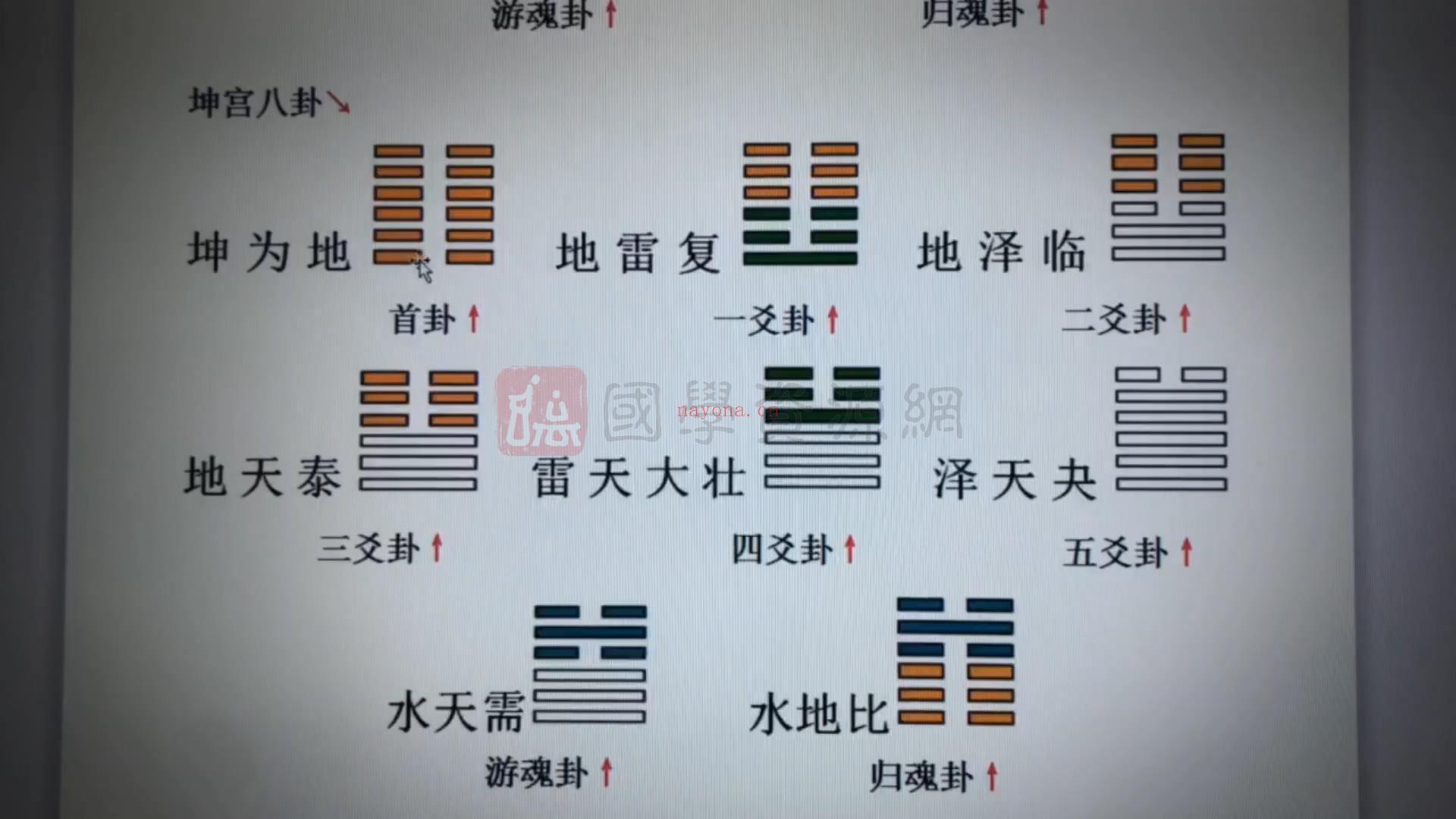 王政《皇极梅花六爻基础课程》视频23集百度网盘分享