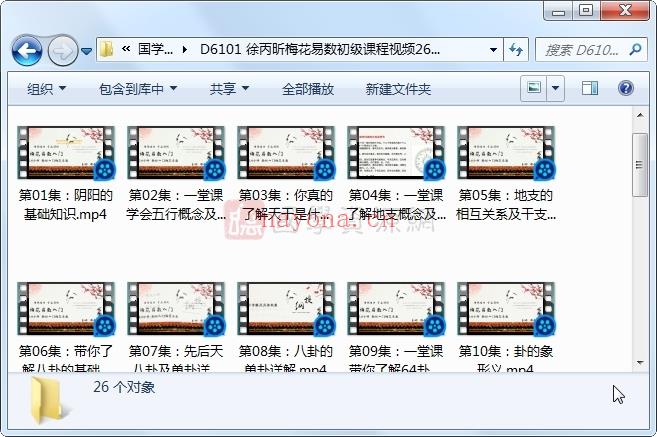 徐丙昕梅花易数初级课程视频26集约10小时百度网盘分享(徐丙昕讲解梅花易数)