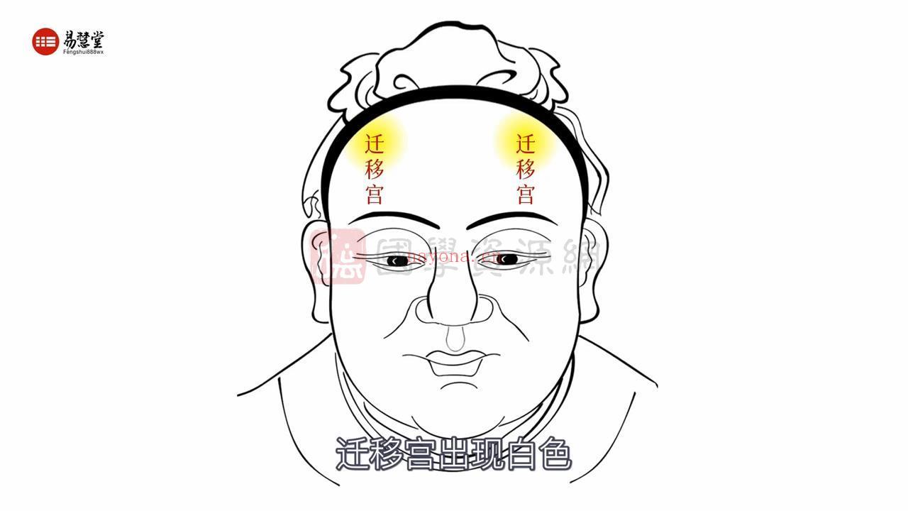 邹庆讲全息相法《给忙碌者的识人锦囊》视频14集百度网盘分享