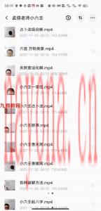 孟儒老师小六壬课程视频10集 16个小时 百度云下载！(孟儒老师小六壬课程)