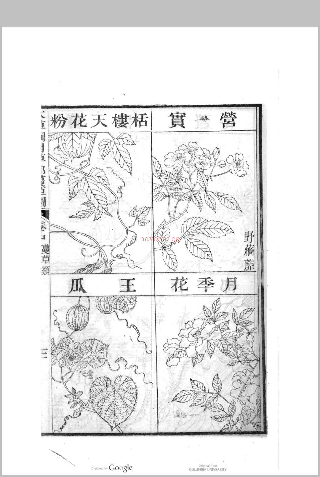 本草纲目李时珍编辑  张绍棠重校刊 (李时珍编本草纲目用了多少年)