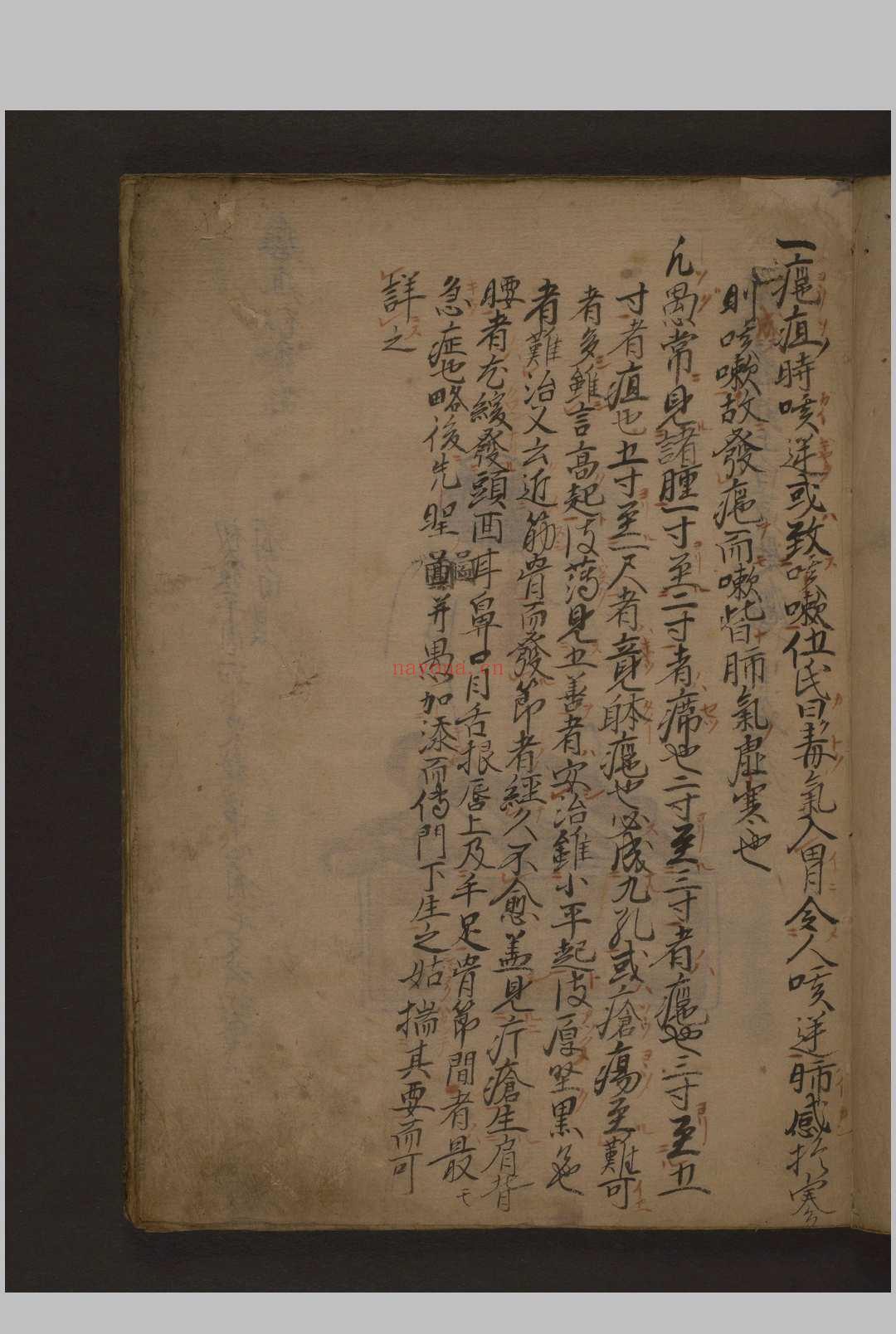 瘤痘图说 彩色抄本 1600年