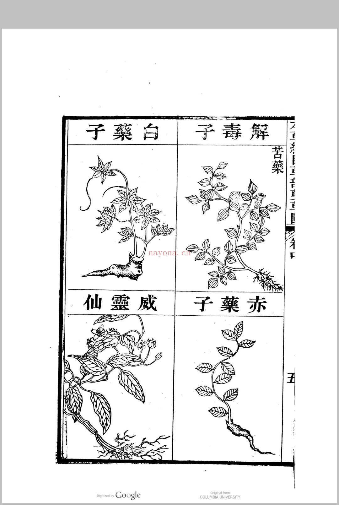 本草纲目李时珍编辑  张绍棠重校刊 (李时珍编本草纲目用了多少年)