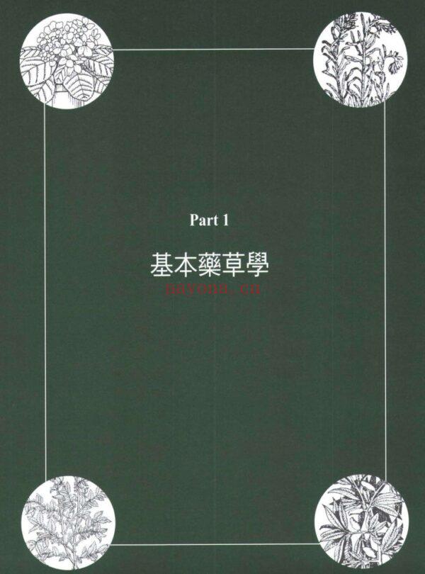 魔药学：魔法、药草与巫术的神奇秘密，帮你净化能量、保护身心、召唤爱情、吸引金钱、实现所有的想望PDF电子书,ebook (魔法觉醒魔药配方)