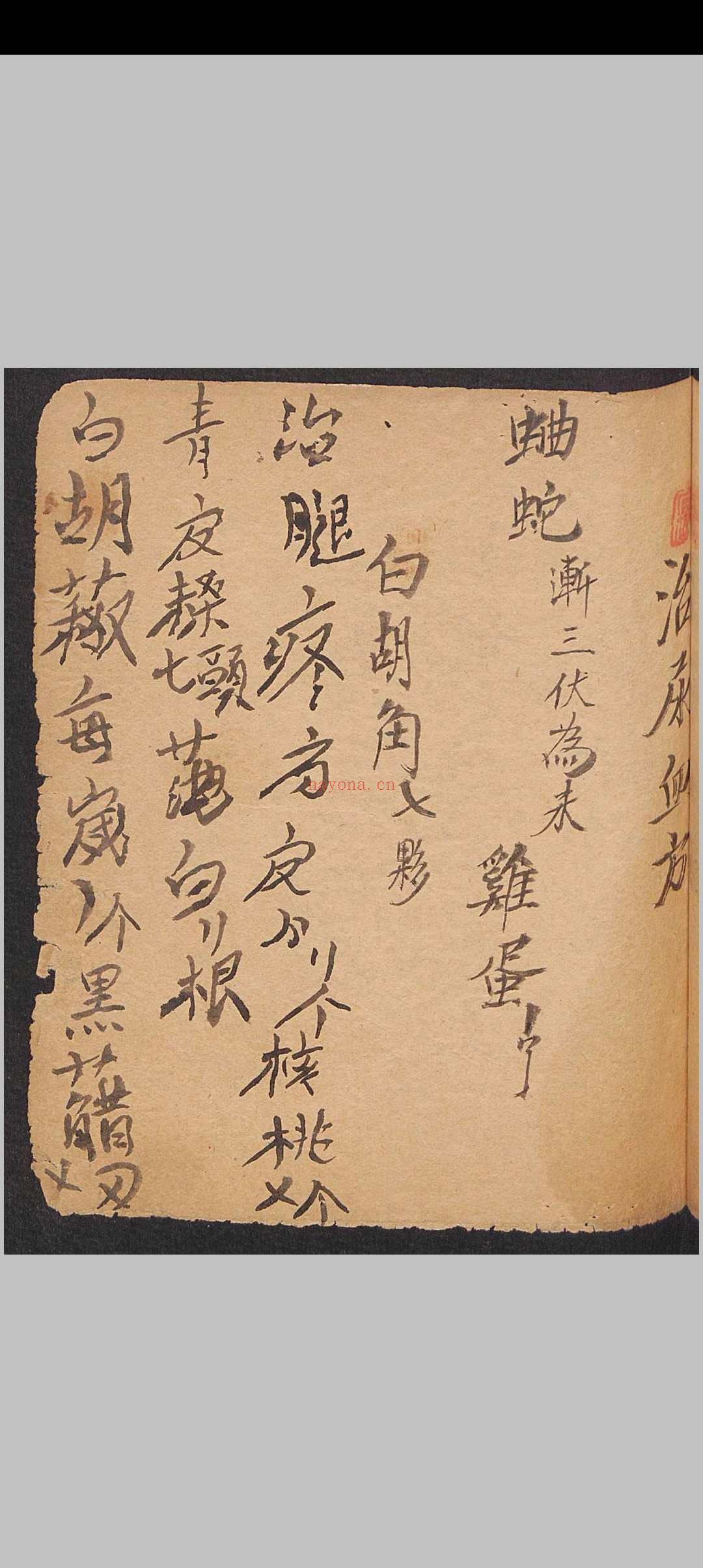 祖传药方，1897年 (祖传药方怎么申请专利)