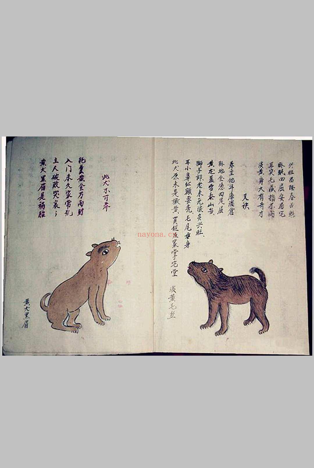 犬相大全 (古代相犬大全图解)