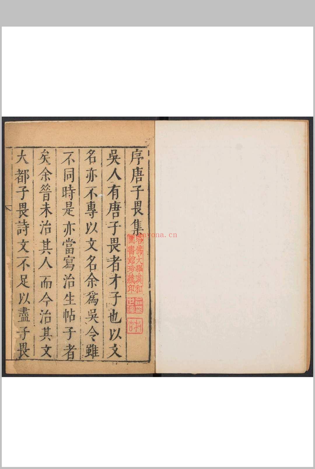 袁中郎先生批评唐伯虎汇集  四卷, 附 外集一卷, 唐六如先生画谱三卷, 纪事一卷, 传赞一卷 唐寅撰  袁弘道批评 (袁中郎先生批评唐伯虎汇集)