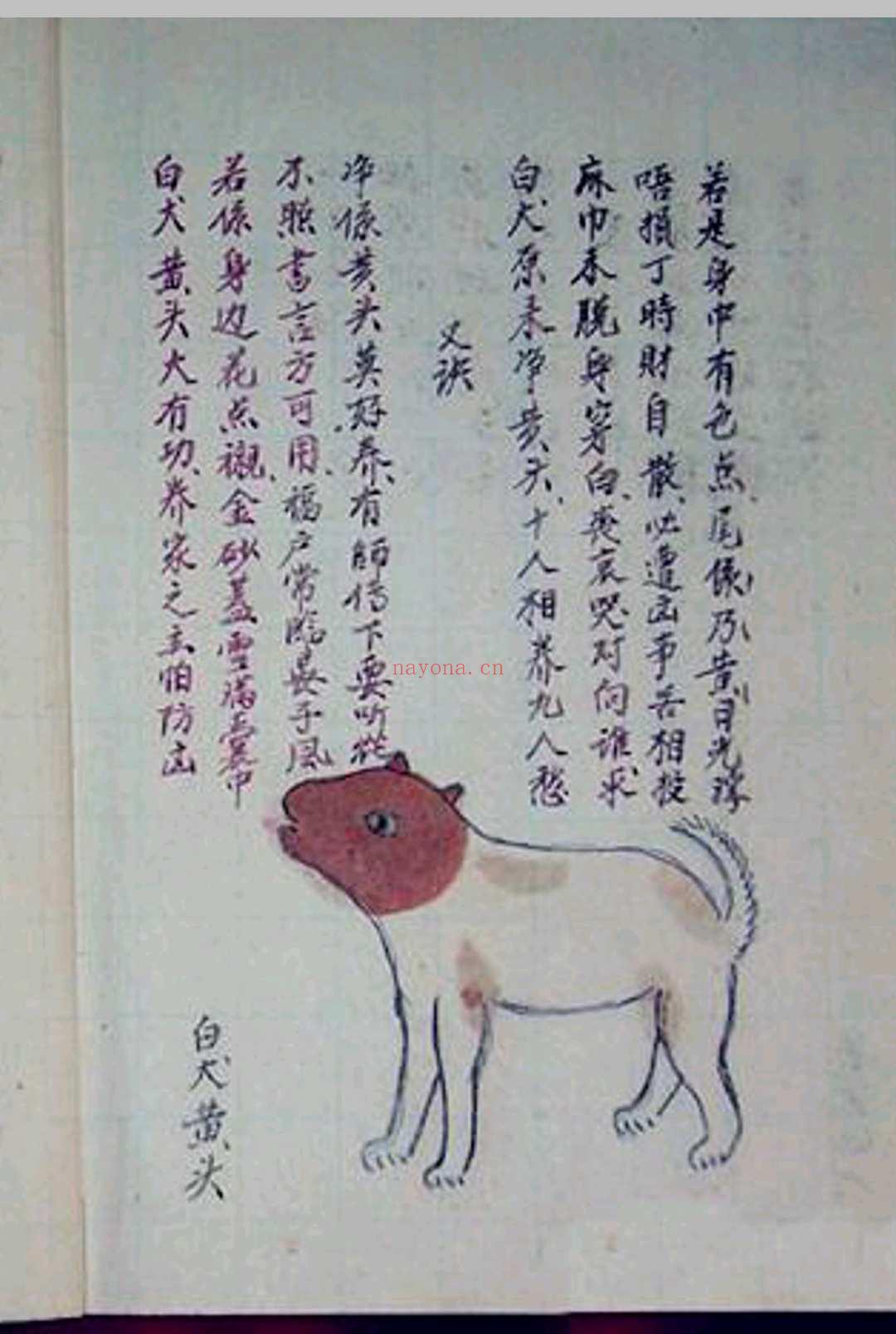 犬相大全 (古代相犬大全图解)