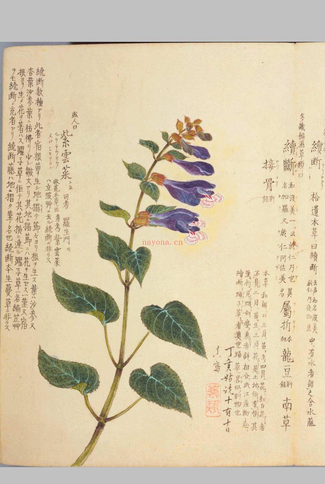 梅园百花画谱.目录.春夏秋冬四部.毛利梅园.书画.1825年序