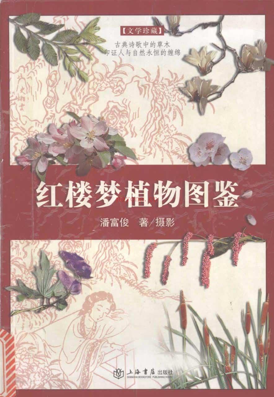 《红楼梦植物图鉴》