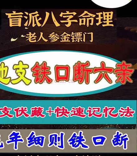 京南道人徒弟易尘-地支伏藏铁口断六亲百度网盘资源