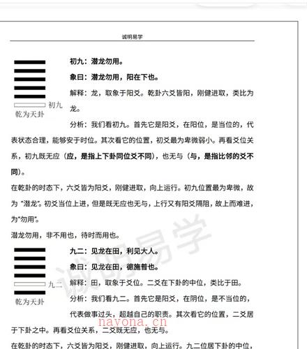 诚明易学文人小哥六十四卦详解视频65集+500页PDF电子书百度网盘资源(诚明易学文人小哥大过卦)