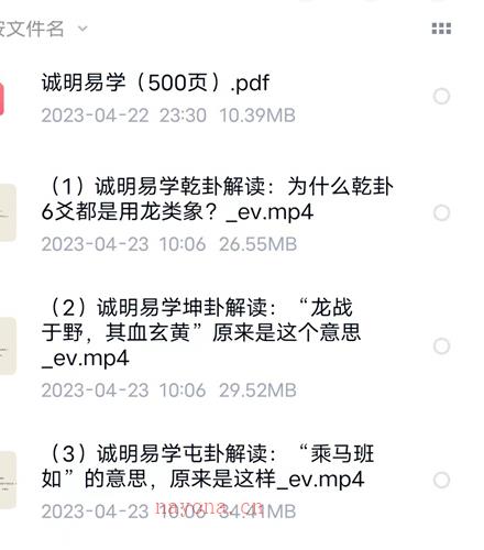 诚明易学文人小哥六十四卦详解视频65集+500页PDF电子书百度网盘资源(诚明易学文人小哥大过卦)