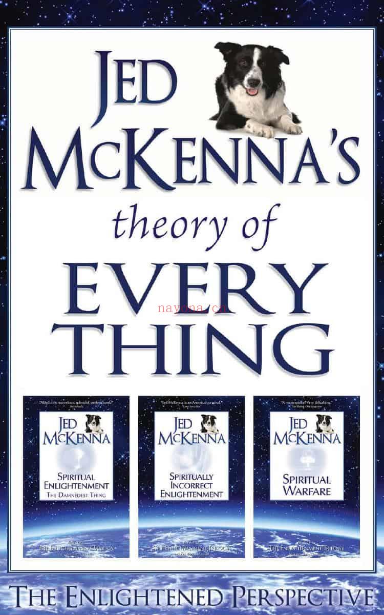 Jed McKenna\'s Theory of Everything: The Enlightened Perspective