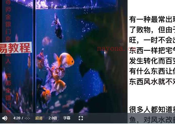 金镖门易星【风水对家宅的影响及合理布局方式】视频10集 百度云(金镖门风水文化有限公司)